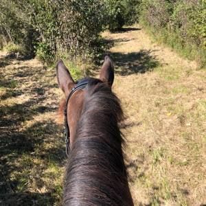 Meet your Posher, Vicki